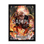 ONE PIECE Card Game Official Limited Edition Card Sleeve Vol.2 King